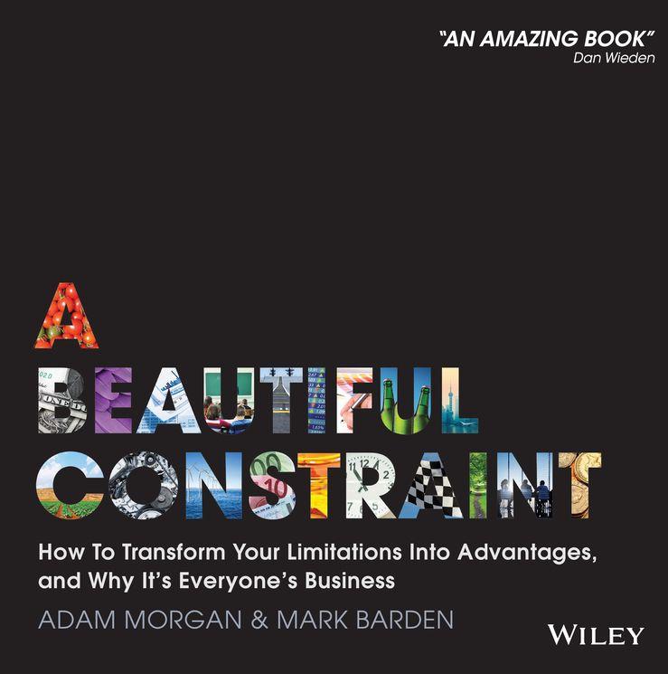 Cover of Beautiful Constraint